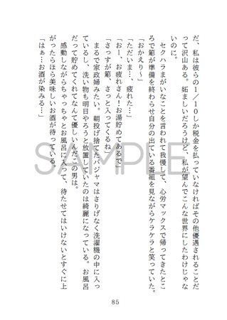 小説 夢のままじゃいられない ステルス爆弾 の通販 購入はフロマージュブックス フロマージュブックス