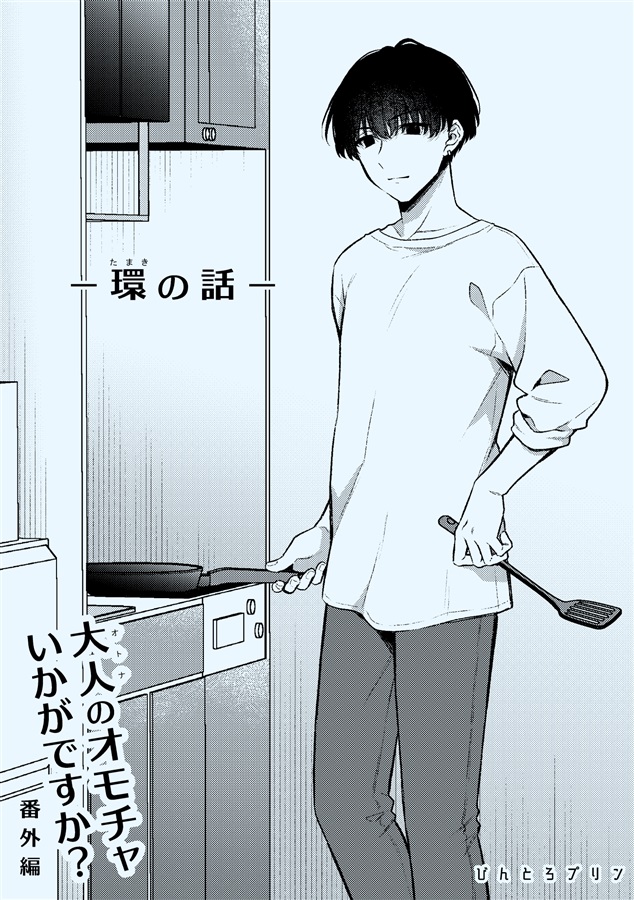 大人のオモチャいかがですか？番外編-環の話-