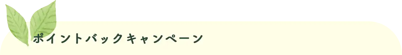 ポイントバック