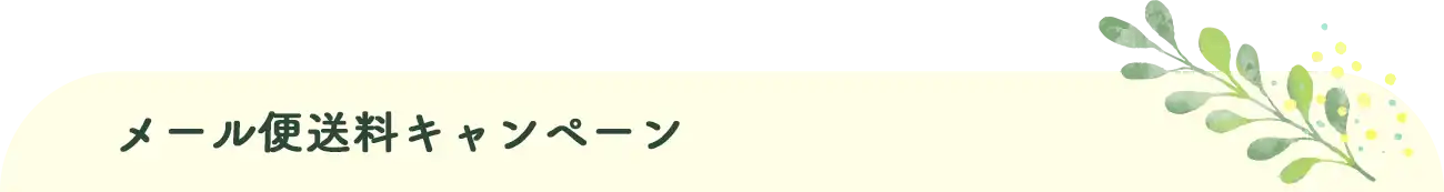 メール便キャンペーン