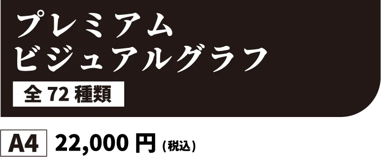 プレミアムビジュアルグラフ 全72種類 A4 22,000円(税込)
