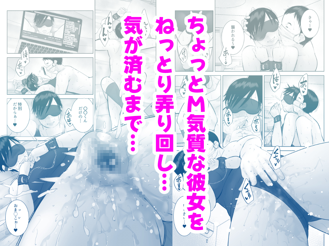 デブ　ブス　ＡＶパッケージ 