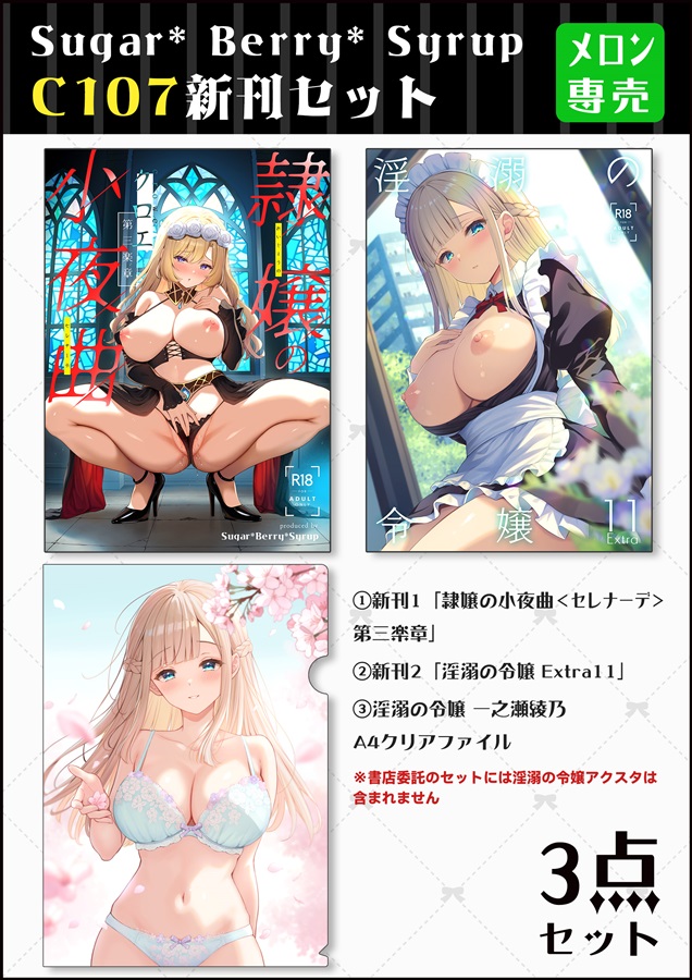 C107新刊3点セット(隷嬢の小夜曲3/淫溺の令嬢Extra11/クリアファイル)