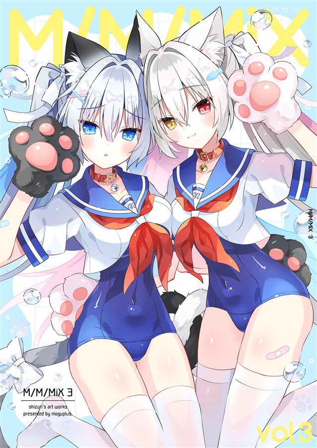 M/M/MiX 3